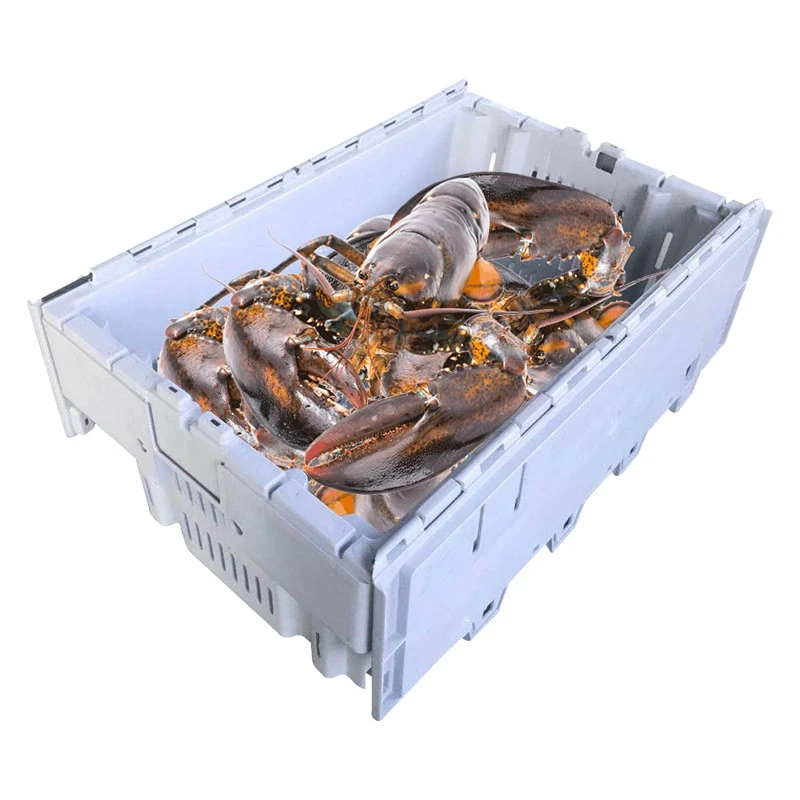 Plastic Obster Crates For Seafood Industry